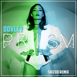 Album cover of Prism (Shizuo Remix)