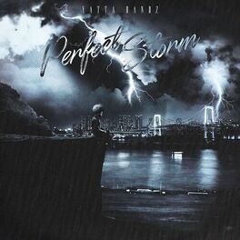 Album cover of Perfect Storm