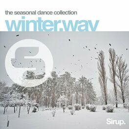 Album cover of winter.wav (The Seasonal Dance Collection)