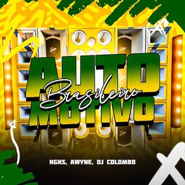 Album cover of Automotivo Brasileiro