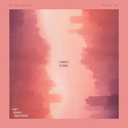 Album cover of Lowkey Signal