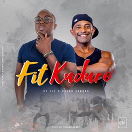 Album cover of Fit Kuduro