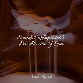 Album cover of Sonidos Relajantes | Meditación Y Spa