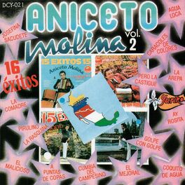 Album cover of 16 Exitos Vol. 2