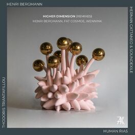 Album cover of Higher Dimension (Remixes II)