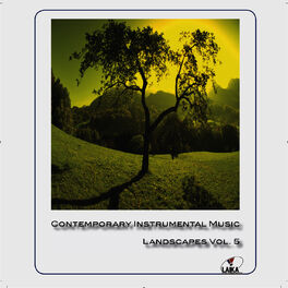 Album cover of Contemporary Instrumental Music Vol.5