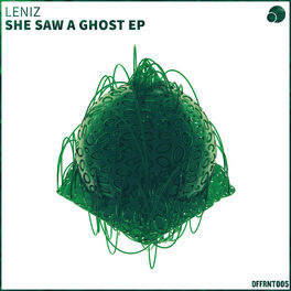 Album cover of She Saw A Ghost EP