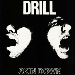Album cover of Skin Down