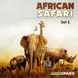 Album cover of African Safari, Set 1