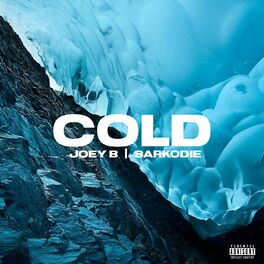 Album cover of COLD