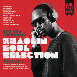 Album cover of The Rza Presents Shaolin Soul Selection: Vol. 1