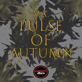 Album cover of Pulse of Autumn