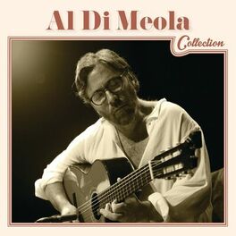 Album cover of Al Di Meola Collection