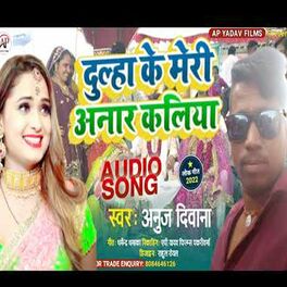 Anuj Deewana - Net Wala Choliya: lyrics and songs