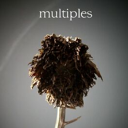 Album cover of MULTIPLES