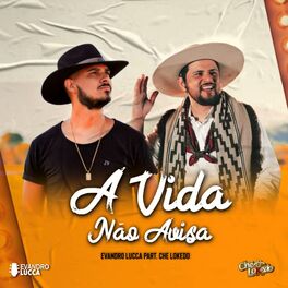 Album cover of A Vida Não Avisa