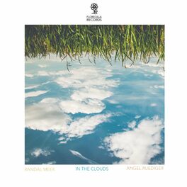 Album cover of In the Clouds