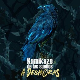 Album cover of Kamikaze de los Sueños