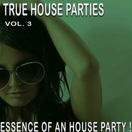 Album cover of True House Parties:, Vol. 3