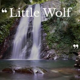 Album cover of Little Wolf