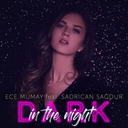 Album cover of Dark in the Night