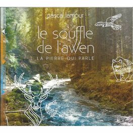 Album cover of Le souffle de l'Awen: La pierre qui parle