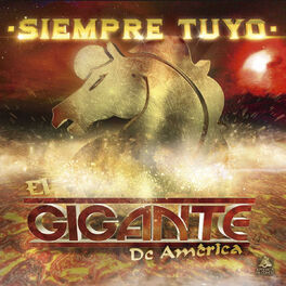 Album cover of Siempre Tuyo