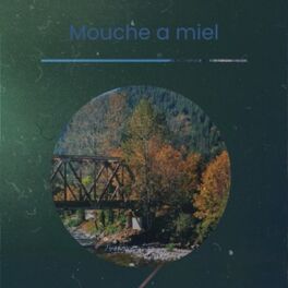 Album cover of Mouche a Miel