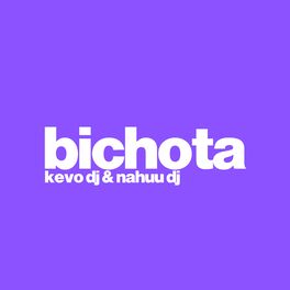 Album cover of Bichota (Remix)