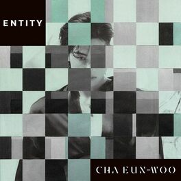 Album cover of ENTITY