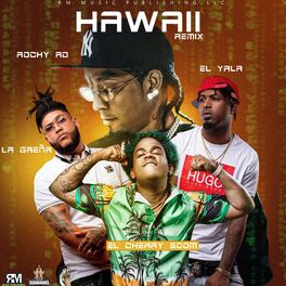 Album cover of Hawaii (feat. La Greña) (Remix)