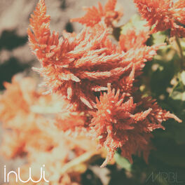 Album cover of InWi