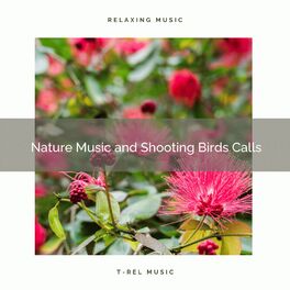 Album cover of ! ! ! ! ! ! ! ! ! ! Nature Music and Soothing Birds Calls