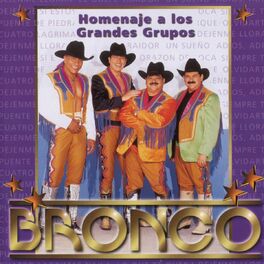 Album cover of Homenaje A Los Grandes Grupos