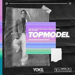 Album cover of Topmodel