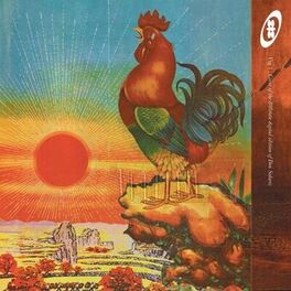 Album cover of Don Solaris