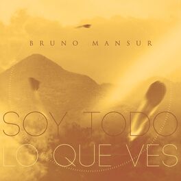Album cover of Soy Todo Lo Que Ves