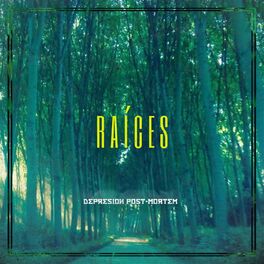 Album cover of Raíces