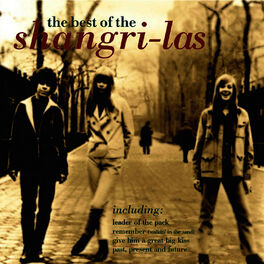 Album cover of The Best Of The Shangri-Las