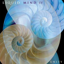 Album cover of Liquid Mind IV: Unity