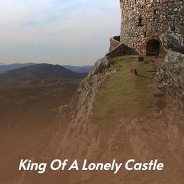 Album cover of King of a Lonely Castle