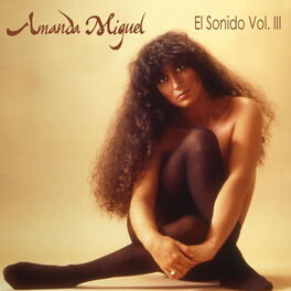 Album cover of El Sonido Vol. 3