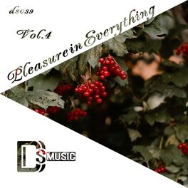 Album cover of Pleasure in Everything, Vol.4