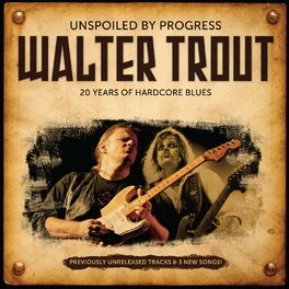 Album cover of Unspoiled by Progress: 20 Years Of Hardcore Blues