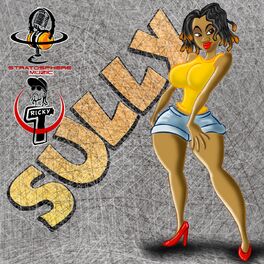 Album cover of Sully