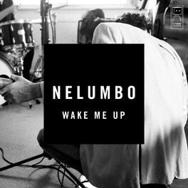 Album cover of Wake Me Up - Single