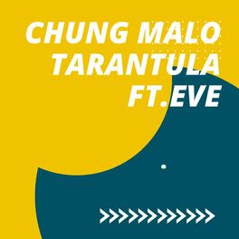 Album cover of Chung Malo