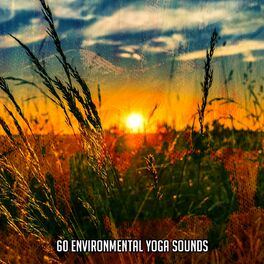 Album cover of 60 Environmental Yoga Sounds