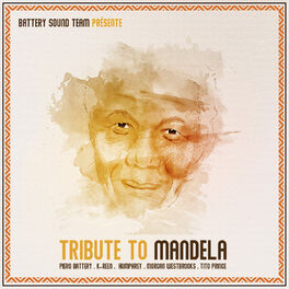 Album cover of Tribute to Madiba