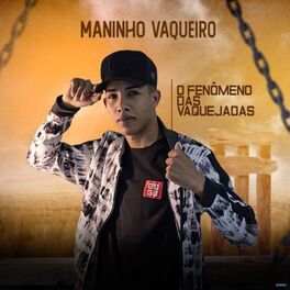 Album cover of O Fenômeno das Vaquejadas